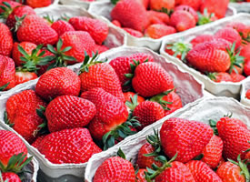 一组红红的香甜可口的草莓图片欣赏