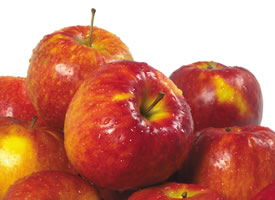 成熟的苹果总有一种新鲜，香甜的滋味