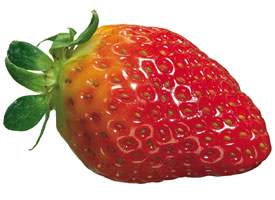 小清新草莓水果图片大全