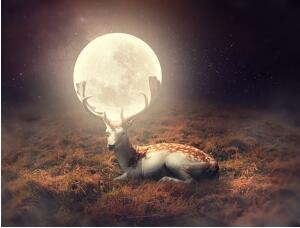 奇幻合成，制作角上连着月亮的小鹿