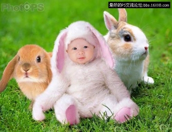 Photoshop合成教程:合成乖乖兔子宝
