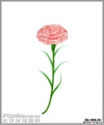 在母亲节用photoshop绘画一朵康乃馨送给母亲