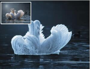 冰凍效果，制作美麗的冰雕效果白天鵝