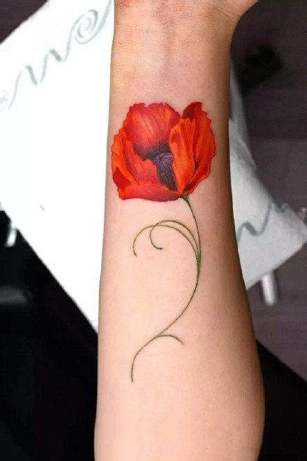 红色罂粟花纹身图案 罂粟花刺青效果图片(2)