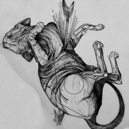 裸毛猫咪纹身手稿原图 斯芬克斯猫纹身效果图(2)