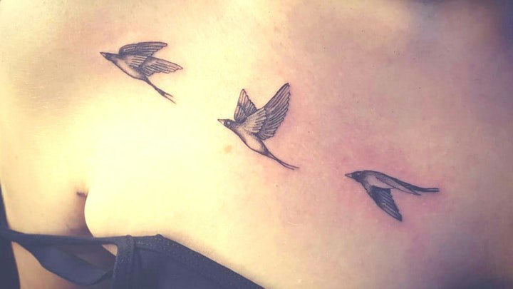 小鸟纹身图案 彩绘小鸟刺青纹身(3)