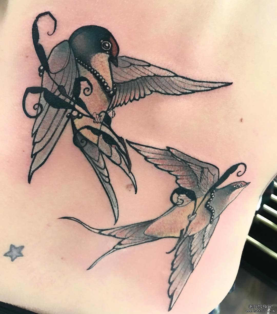 黑色线条燕子纹身图案 小燕子刺青纹身(3)