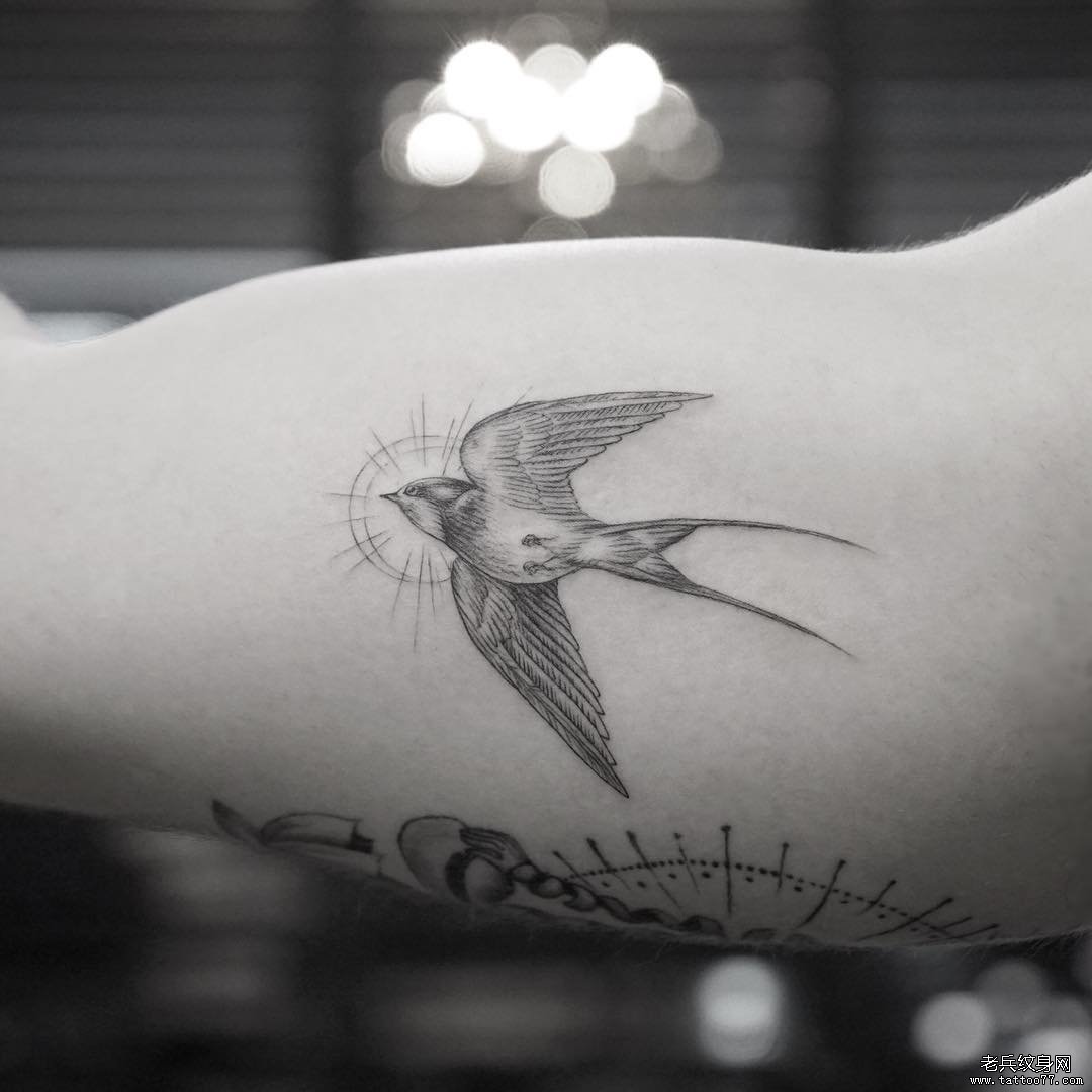 黑色线条燕子纹身图案 小燕子刺青纹身(2)
