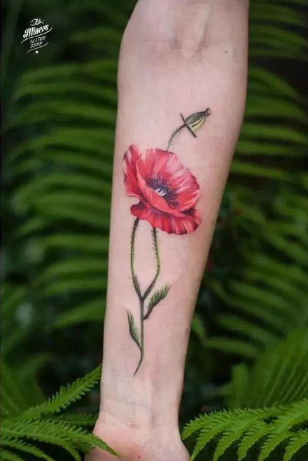 艳丽漂亮的一组罂粟花纹身图案作品(4)