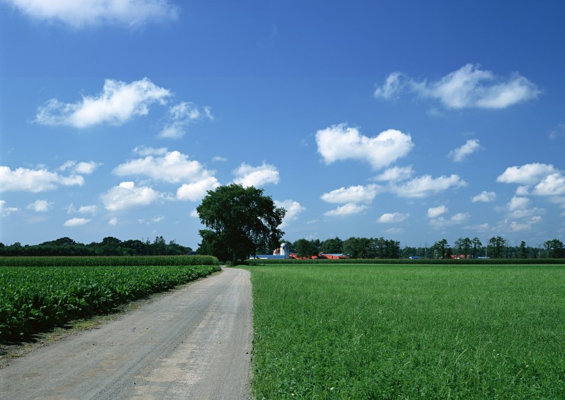 乡间小路