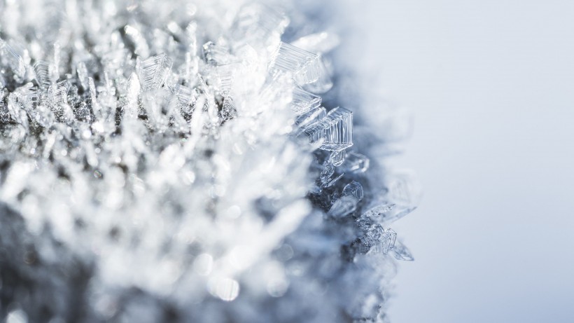 冬季雪后冰花风景图片