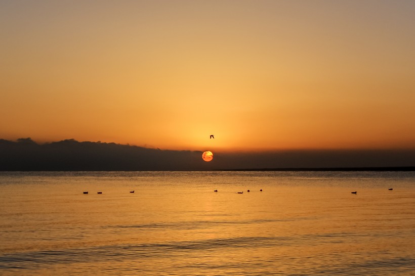 青海湖日出風光圖片