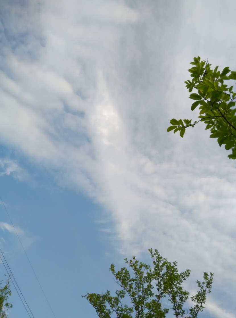 天空中飄動的白云圖片