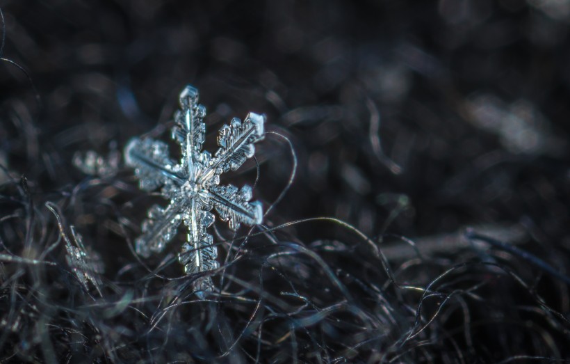 顯微鏡拍攝的雪花圖片