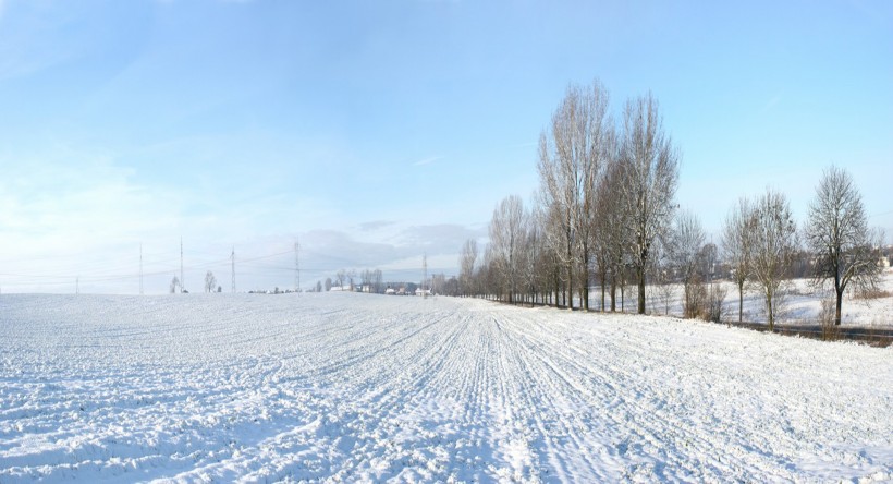 冬日雪景图片