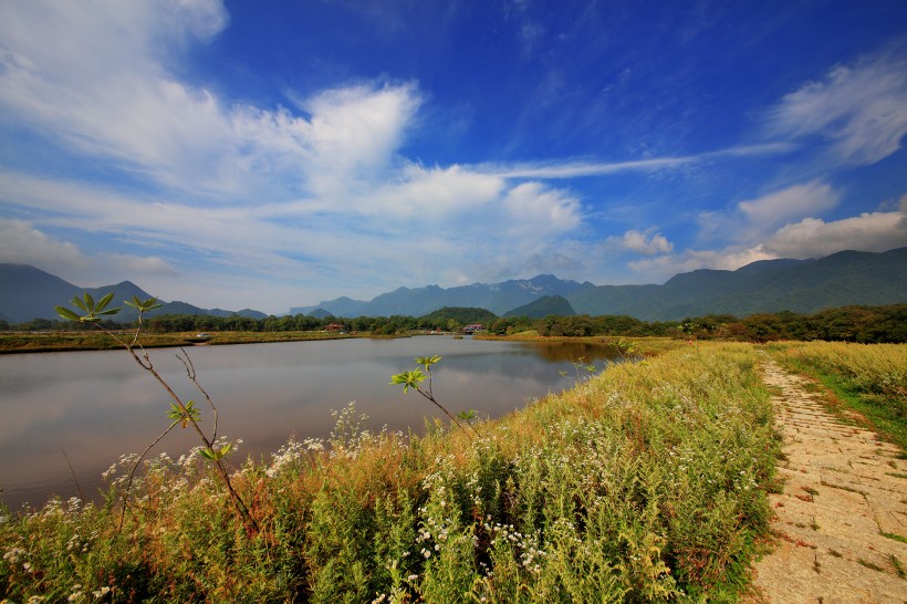 湖北神农架大九湖风景图片