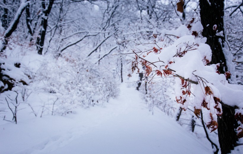 唯美冰雪风景图片