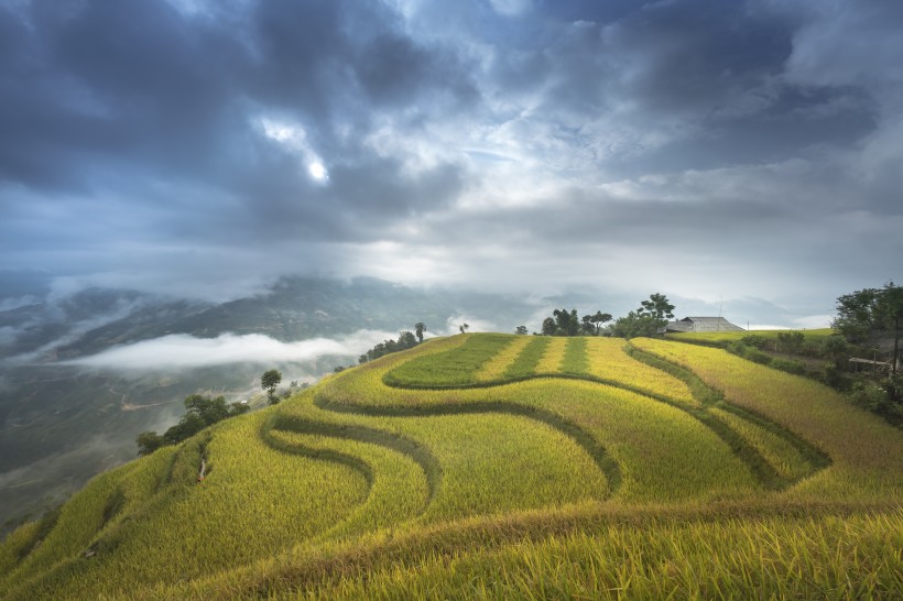 層疊的綠色梯田風(fēng)景圖片