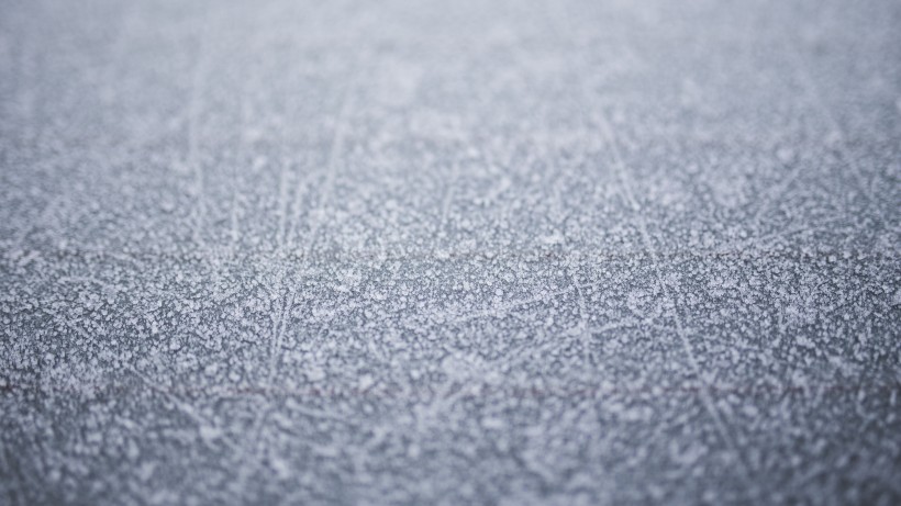 冬季雪后冰花风景图片