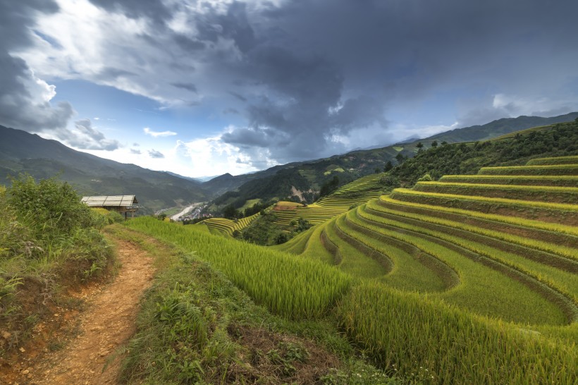 秋季乡村梯田风景图片