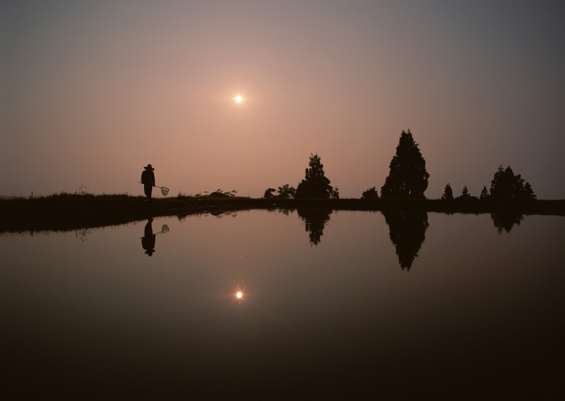 夕阳下的梯田图片