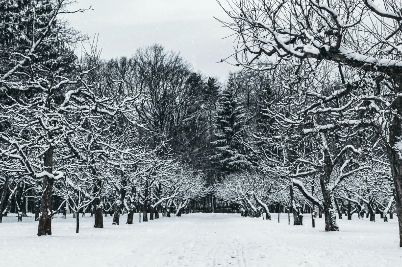 冬季冰雪景色圖片