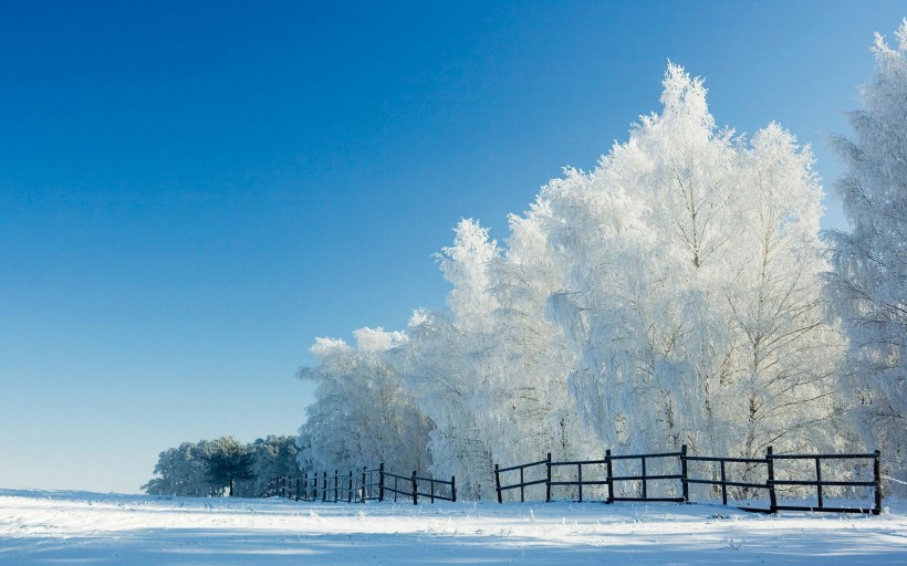 唯美的冬季雪景图片