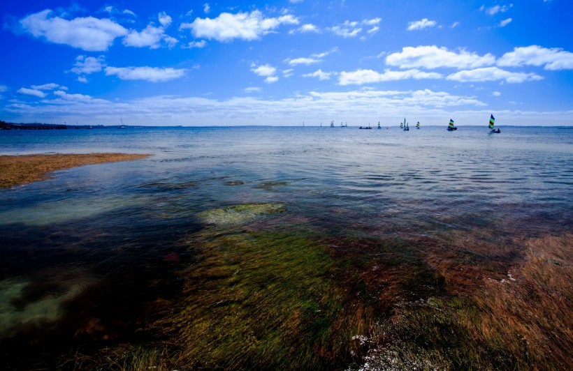 美丽的海湾风光图片