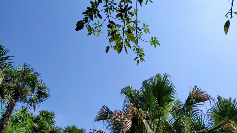 白云蓝天风景图片