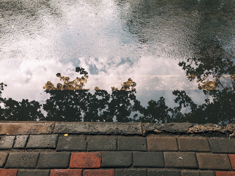 唯美的下雨天的图片