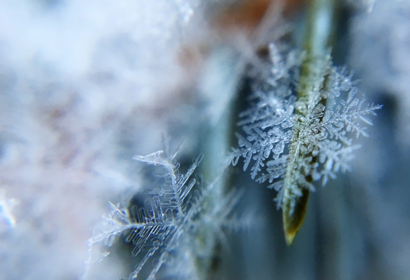 晶莹剔透的雪花图片