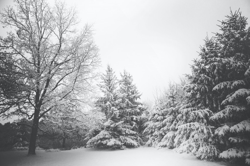 白雪皑皑的世界图片