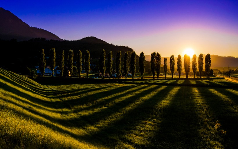 简约的乡村风景图片