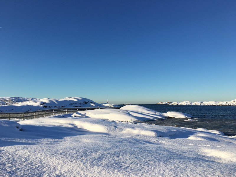 唯美白色雪景圖片