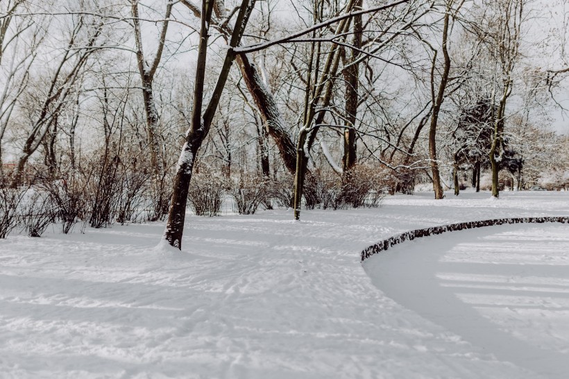 冬季白雪覆蓋的公園圖片