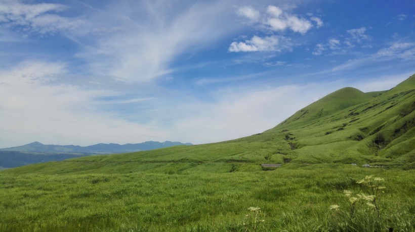 藍(lán)天白云下綠色遼闊的草原風(fēng)景圖片