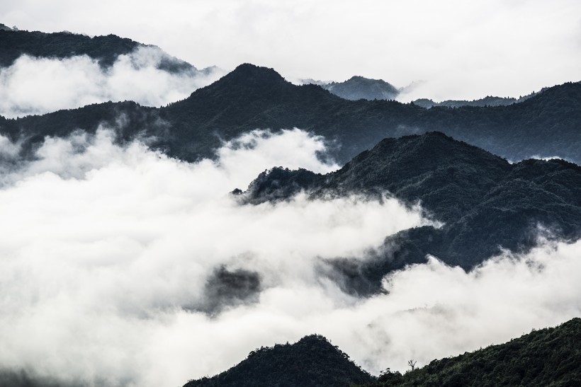 美丽的云海图片