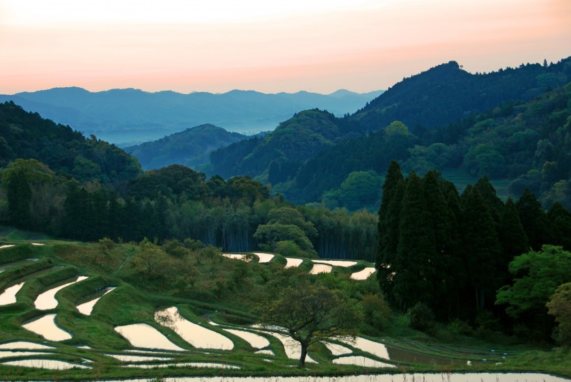 綠色梯田風(fēng)景圖片