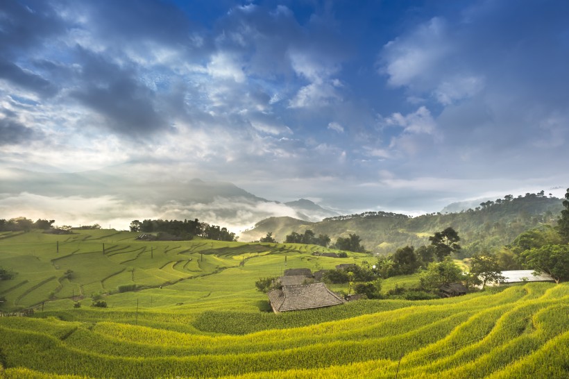 層疊的綠色梯田風(fēng)景圖片