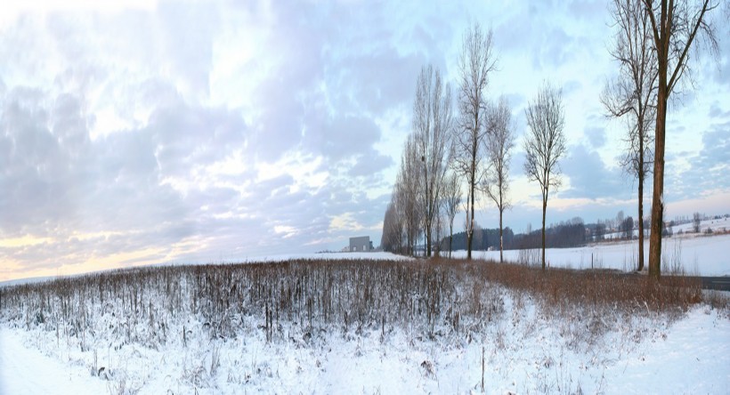 冬日雪景图片