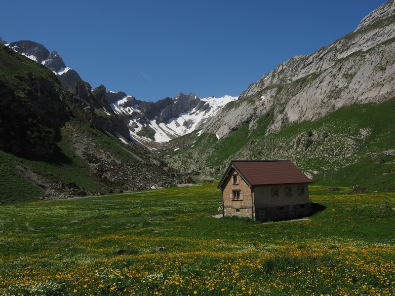 山上的小屋圖片