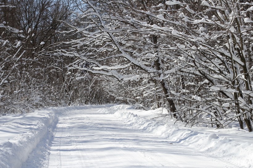 堆滿樹枝的白雪圖片