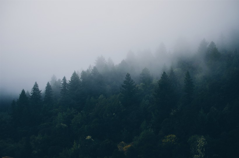 山間薄霧風(fēng)景圖片