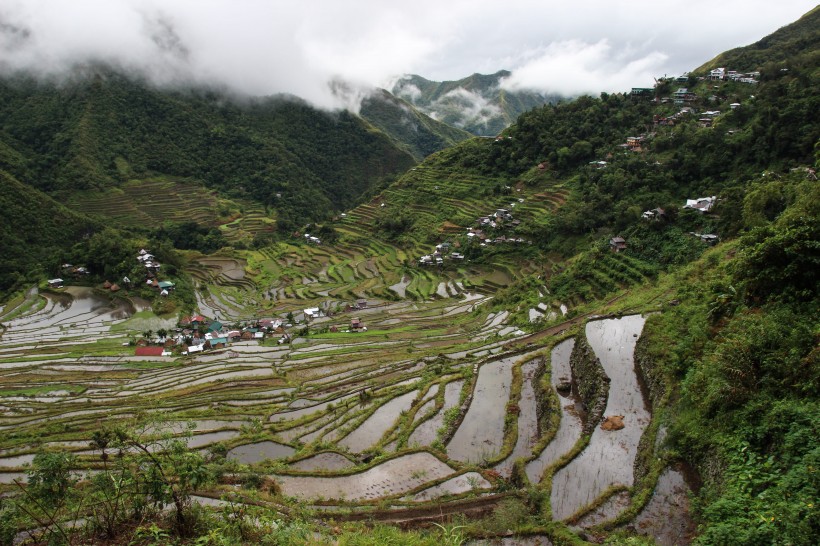 廣闊唯美的水稻梯田風(fēng)景圖片