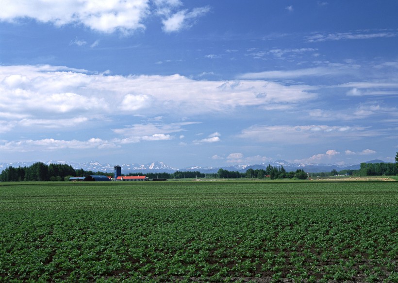 蓝天白云田地图片