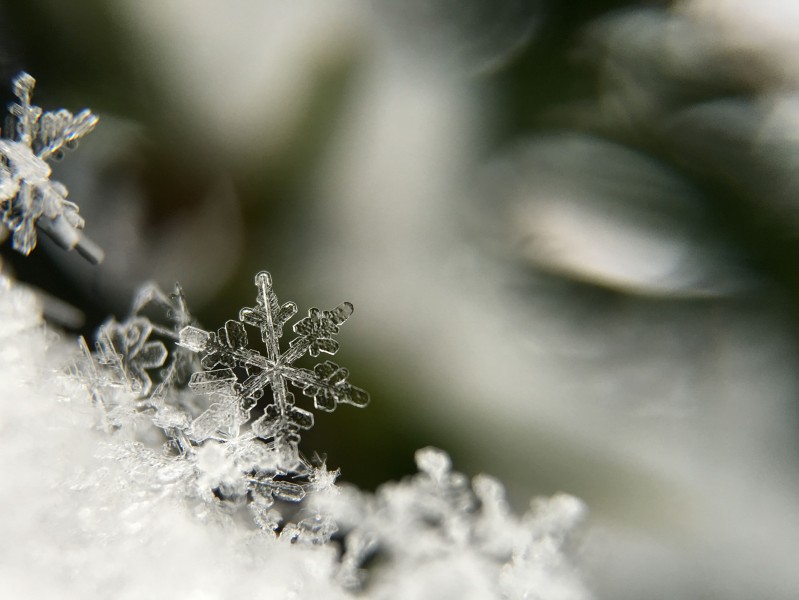 晶莹的雪花图片