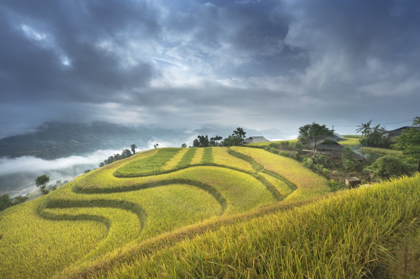 秋季乡村梯田风景图片