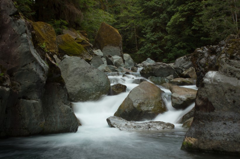 森林小溪山間流水圖片