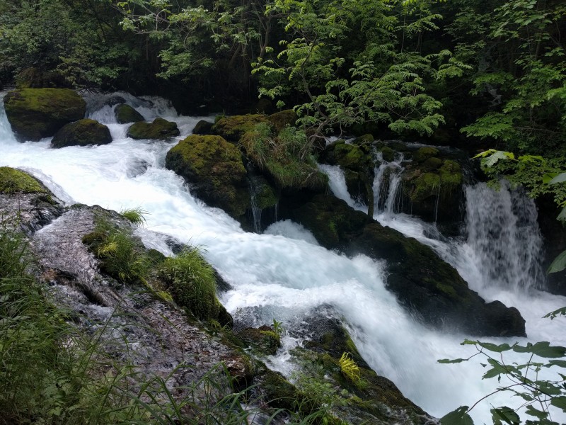 森林小溪山间流水图片