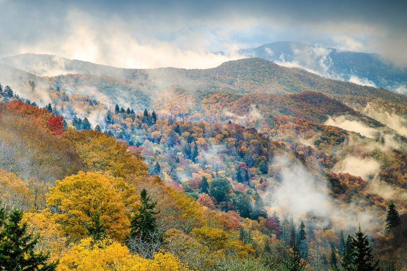 山頂風(fēng)景圖片